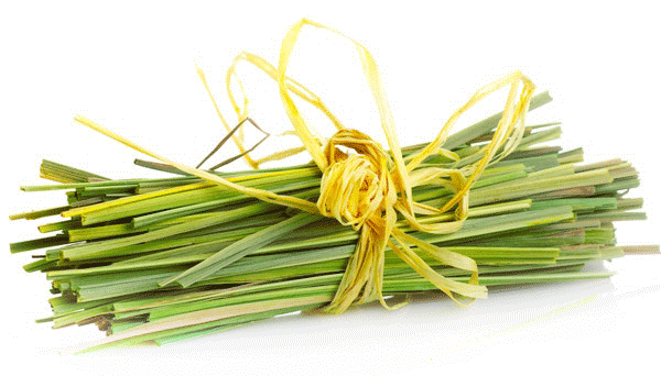 LEMONGRASS ESSENTIAL OIL