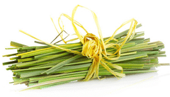 LEMONGRASS ESSENTIAL OIL