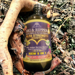 Big & Ripper Alfa Strength Booster