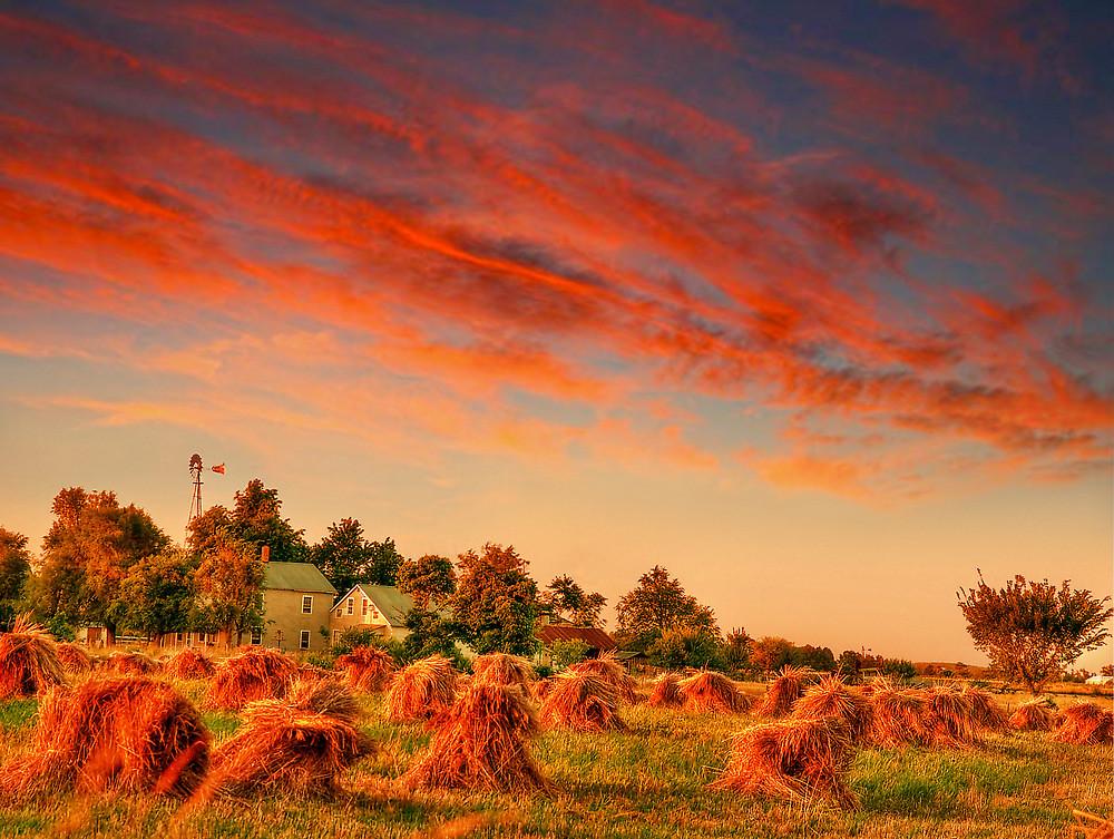 AMISH HARVEST TYPE   *NEW FALL SCENTS*
