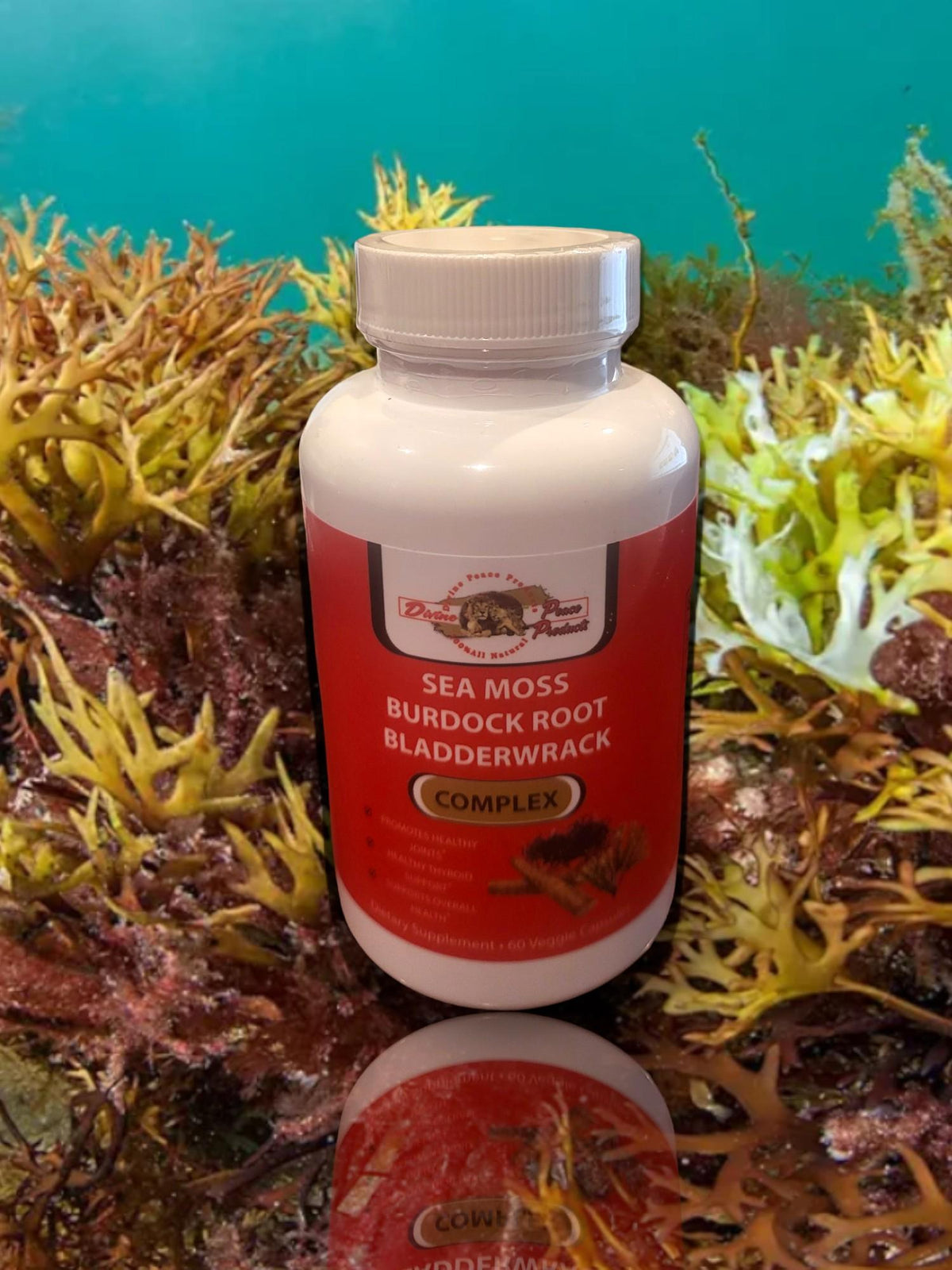 DIVINE PEACE SEA MOSS BURDOCK ROOT & BLADDERWRACK 60ct CAPSULES