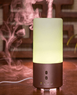 FD21 100ML DIFFUSER