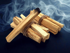PALO SANTO “HOLY WOOD”