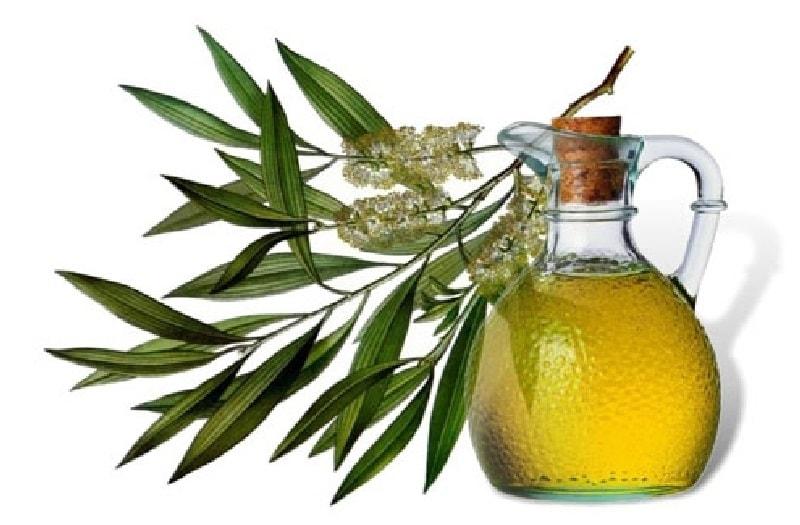 TEA TREE ESSENTIAL OIL