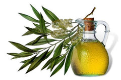 Tea-tree-oil-for-