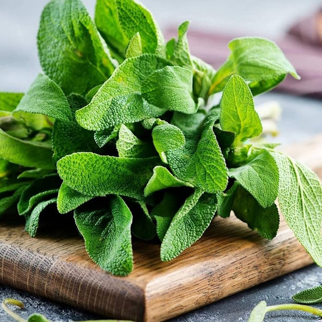 SAGE TYPE