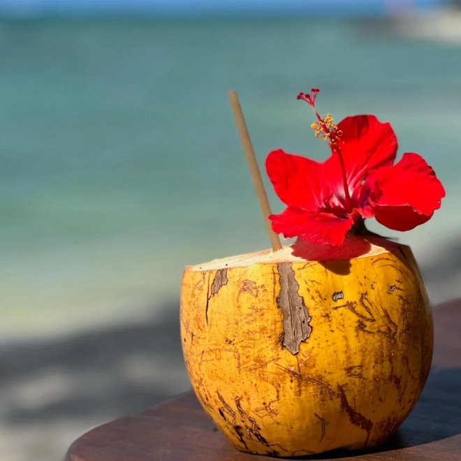 ARUBA COCONUT TYPE