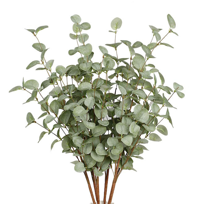 EUCALYPTUS TYPE