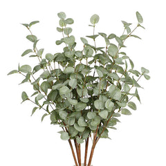 EUCALYPTUS TYPE