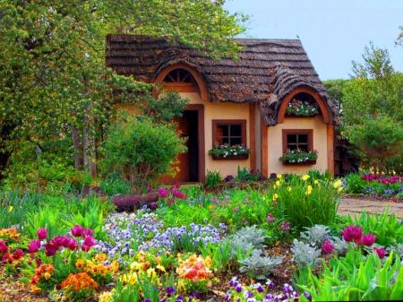HOME SWEET HOME TYPE *NEW FALL SCENTS*